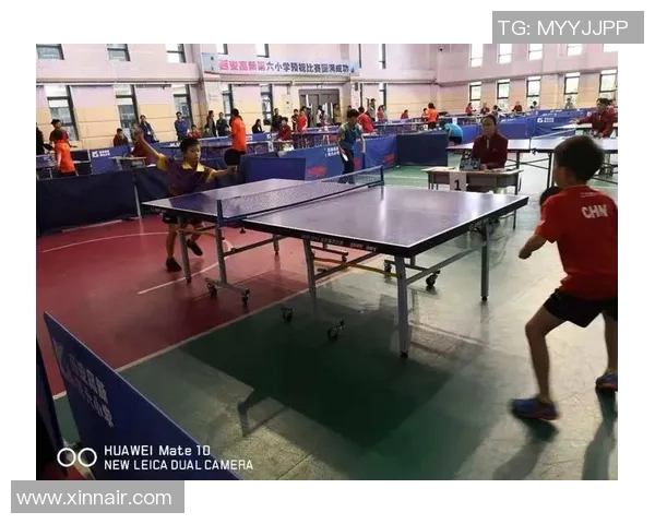 西安乒乓球队个人能力分析与表现评估研究报告