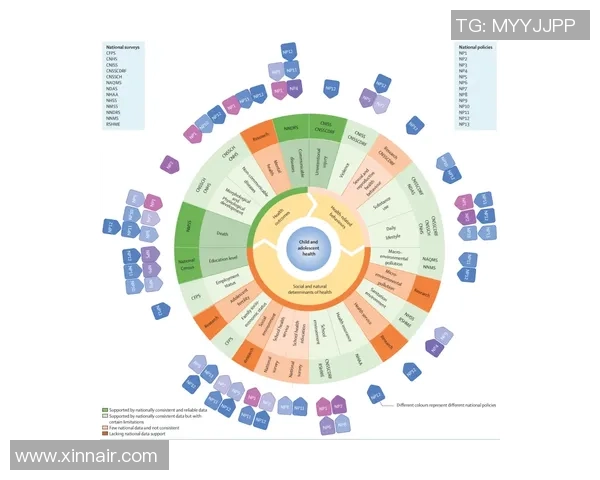 数据分析:南京飞盘队的团队协作表现