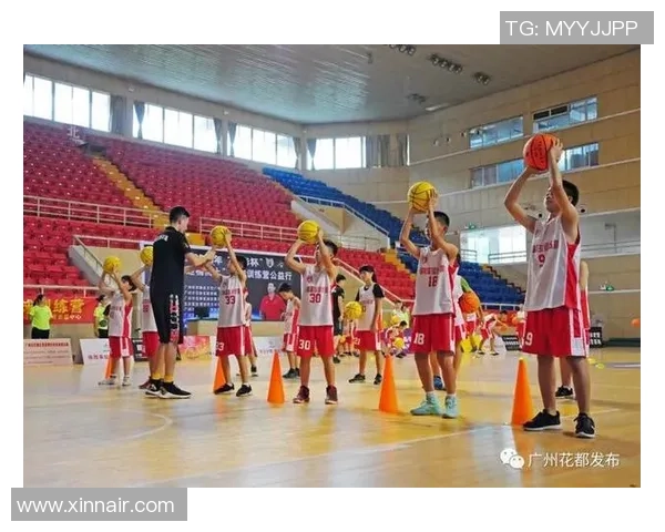 权威发布：排球速度实力榜单