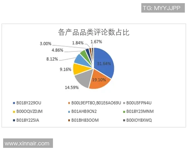 数据分析：广州飞盘队的节奏表现