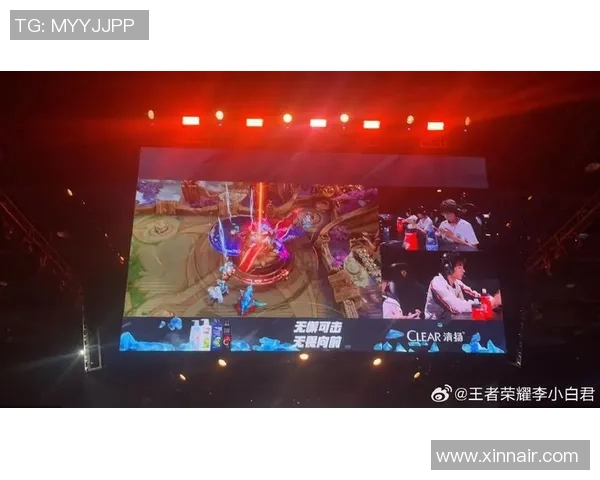 王者荣耀焦点：JDG的配合探讨